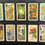 Thumbnail: Brooke Bond Tea U.S.A. Wild Flowers of North America Dark Blue Tea Cards