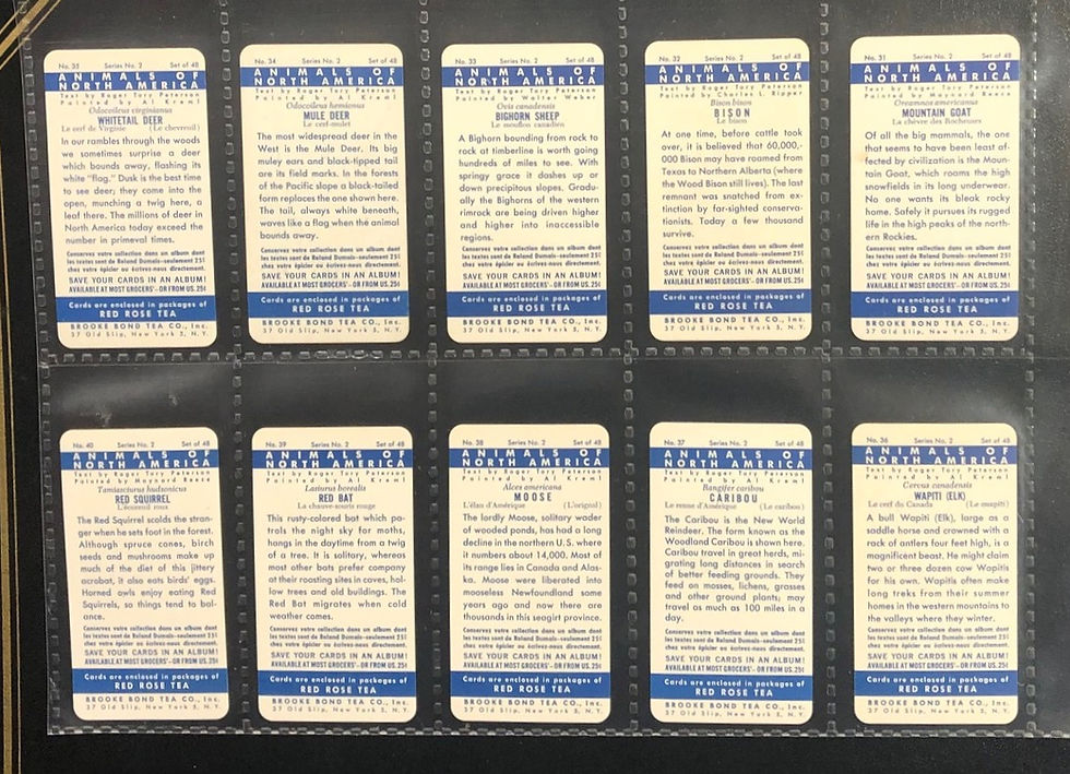 Thumbnail: Brooke Bond Tea U.S.A. Animals Of North America Blue Back Tea Cards