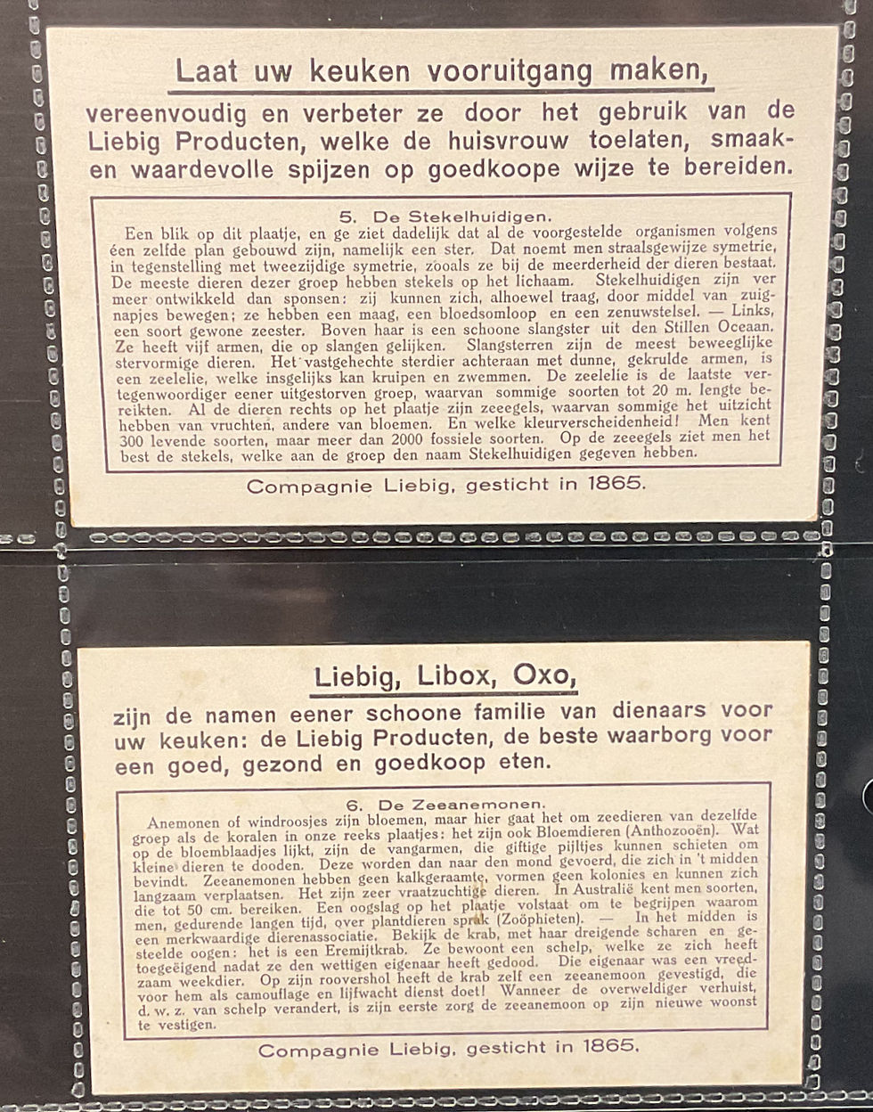 Thumbnail: Liebig Views Of Submarine Life S1345 Trade Cards