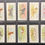 Thumbnail: Copes Dogs Of The World Cigarette Cards