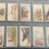 Thumbnail: Scottish C.W.S Feathered Favourites Adhesive White Border Cigarette Cards