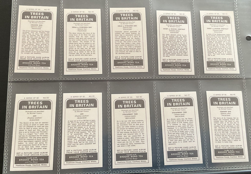 Thumbnail: Brooke Bond Tea Trees In Britain Black Back Reprints Tea Cards