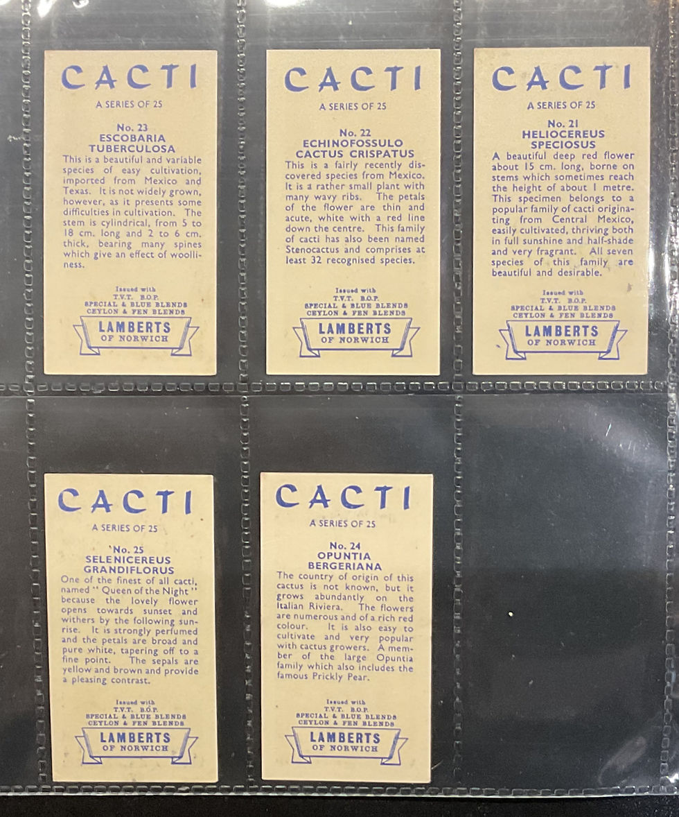 Thumbnail: Lamberts Tea Cacti Tea Cards