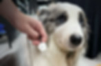 bfa98d466b49f6f10e837cf641799a83_结果.jpg