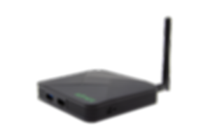 BLUECAT290.png