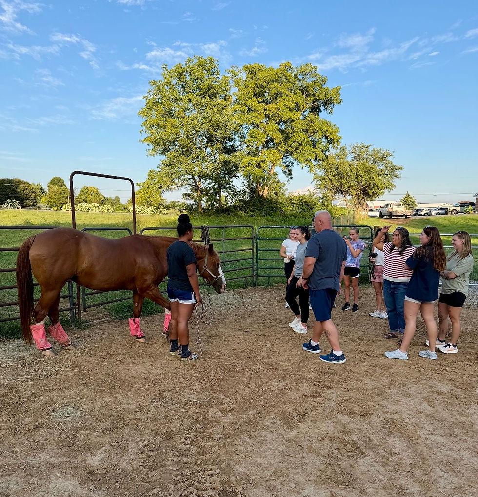 Book a tour at D Diamond C Battlefield Ranch, Home of Barn Doors Open