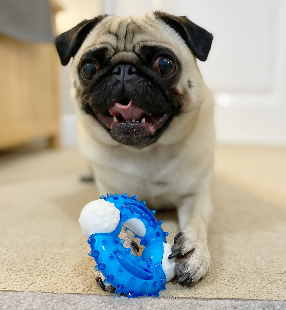 I could chew this for ages