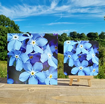 Blue Forget-Me-Nots Card and Coaster Outside.jpg