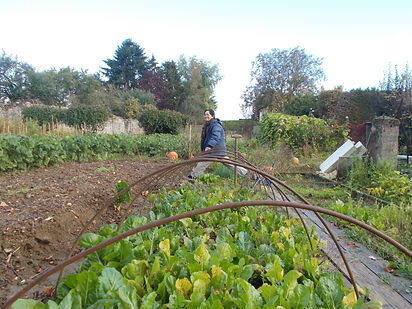 DSCN4038.JPG