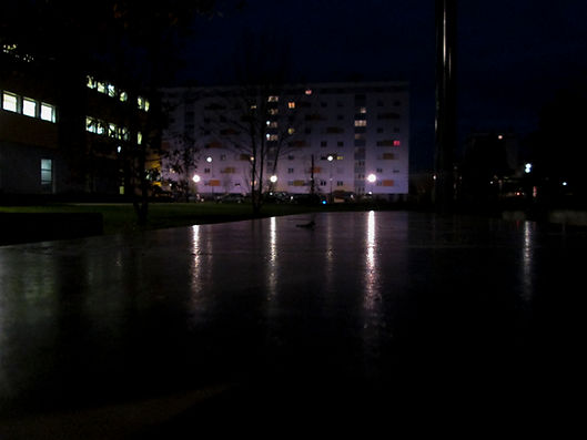 EMMA_1704_1_1.jpg