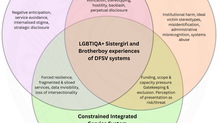 A proposed model of LGBTIQA+ Sistergirl and Brotherboy victim and survivor experiences of domestic, family and sexual violence services and systems
