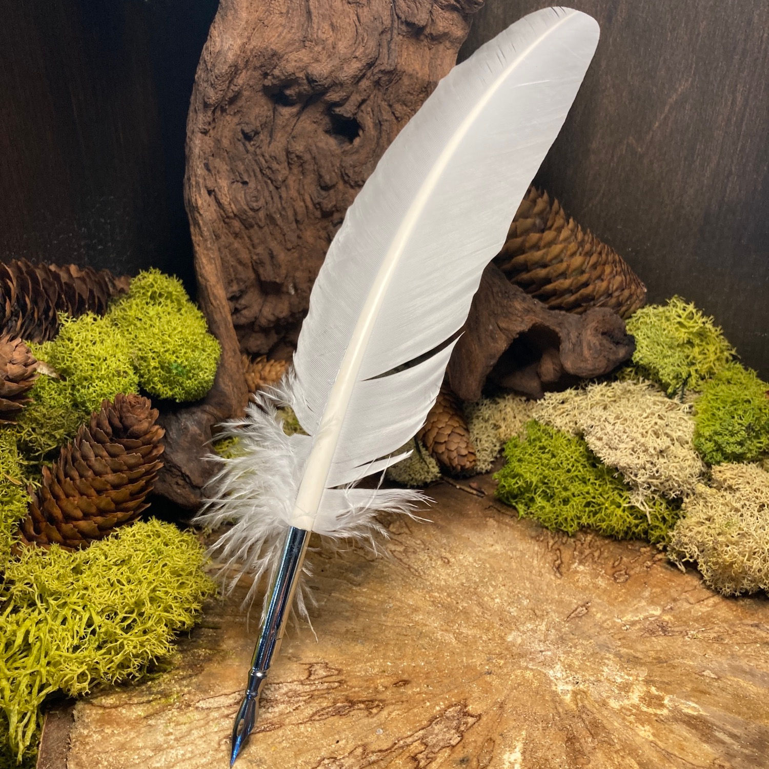 Plume blanche pour calligraphie