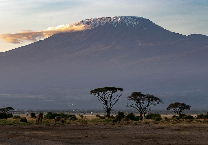 africa-4055169_1920.jpg