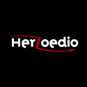 herzoedio IRON ヘルゾエディオ　アイアン Herzoedio ヘルゾエディオ Iron アイアン 5m ほぼ未使用 - メルカリ