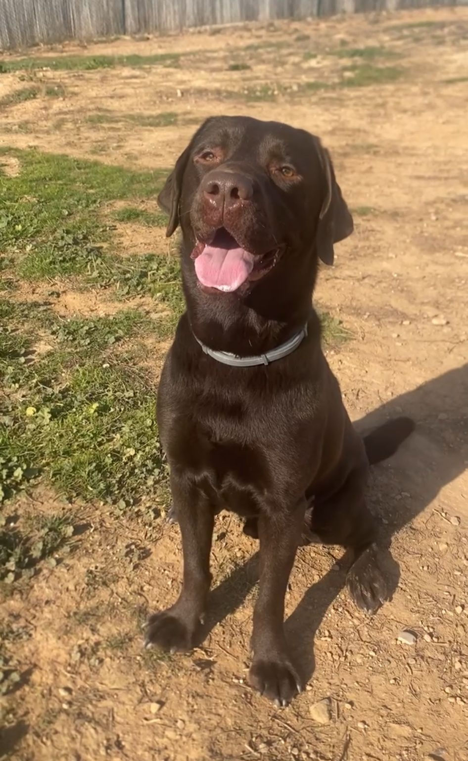 WhatsApp Image 2025-12-28 at 14.33_edited