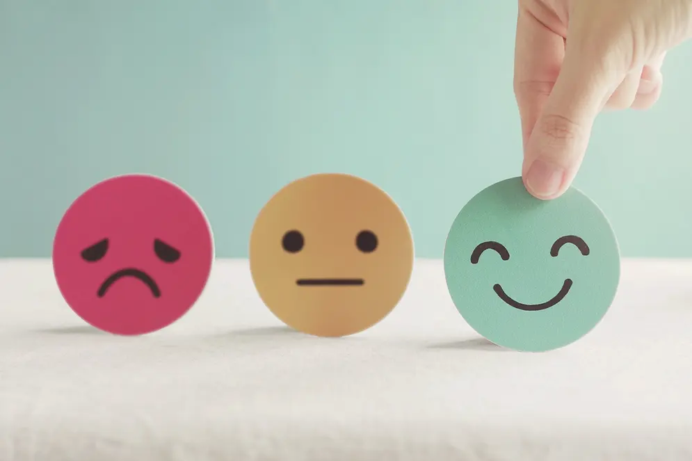feedback Steffi Rambau.webp