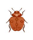 Untitled_Artwork 81.png