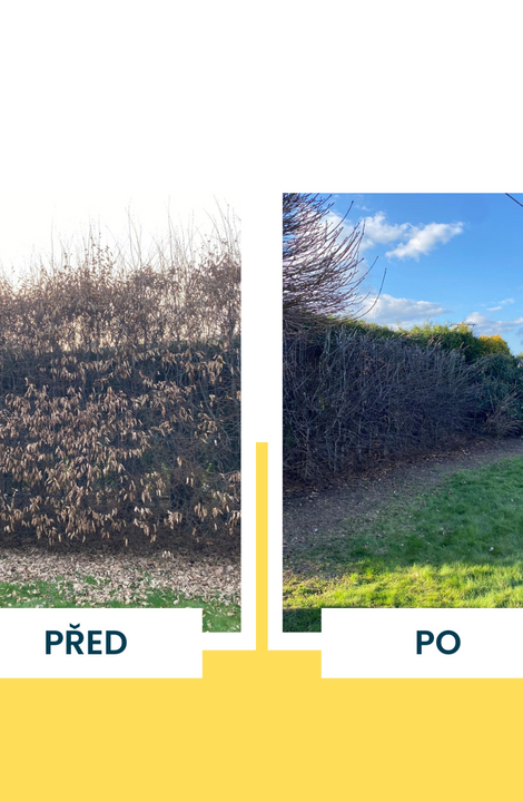 Jarní údržba zahrady