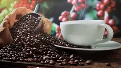 Tomar café en Honduras: más que una bebida, un ritual cultural