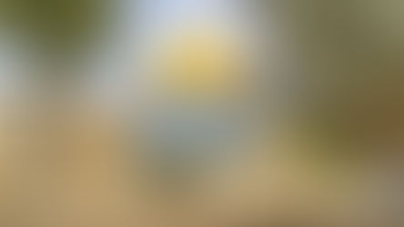 Embajador de Honduras en Israel ante crisis humanitaria será retirado por Xiomara Castro 