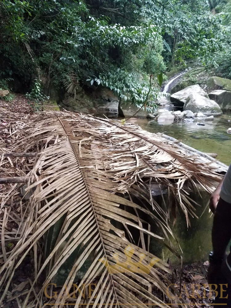 GaneVillaCaribe | Junta de Agua.