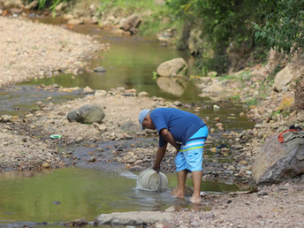 Efectos de la sequía ya se comienzan a sentir en Honduras
