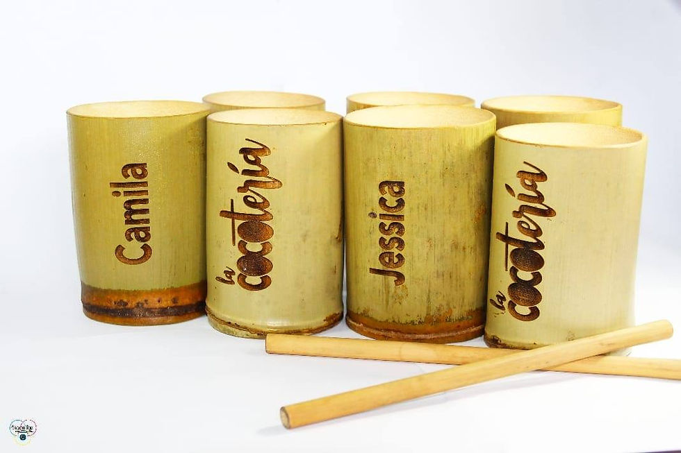Vasos de Bambú: la alternativa ecológica que gana popularidad en todo el mundo