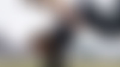 ¿Qué son los Therians? Una mirada al fenómeno que crece en redes