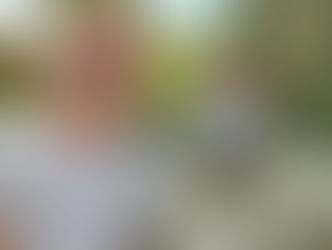 Periodista noruego conoce impacto ambiental en Santa Bárbara después de Eta y Iota