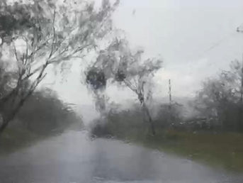 Fuerte tormenta en Petoa deja arboles y ramas caídas