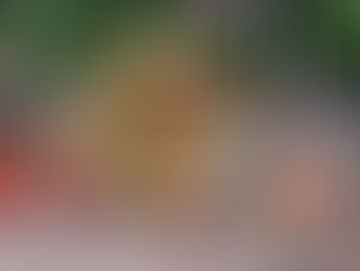 Así se celebró el Jubileo de Platino por sus 70 años de reinado de la reina Isabel II de Inglaterra 