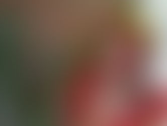 Fallece el Comandante Ubala, vocalista de Los Roland de La Ceiba