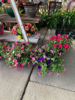 Hanging Garden Baskets