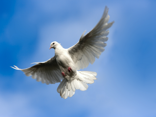 Spirit of Power