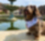 thumbnail_IMG_1500_edited.jpg