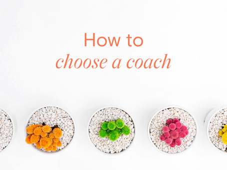 How to choose a coach