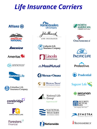 Life Insurance Carriers.zip - 1.png
