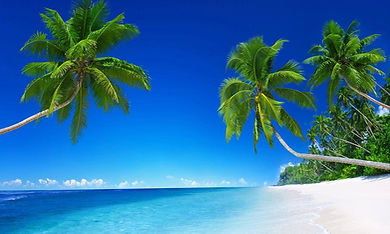 beach.jpg
