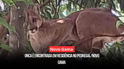 WhatsApp Image 2026-03-09 at 14.08.43 (2)