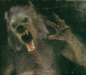 Top Indoor Outdoor Haunted Attraction Near Nashville Tn