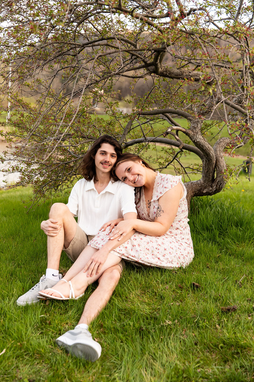 engaged couple in spring session with white flowering pear trees