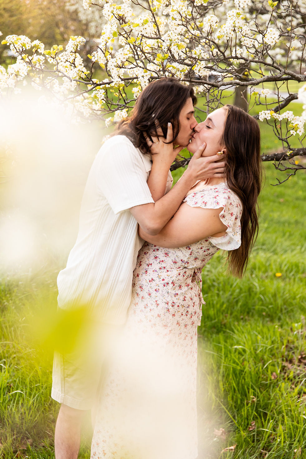 engaged couple in spring session with white flowering pear trees