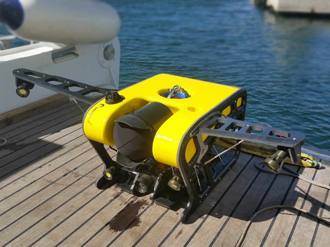 ROV Strombus 500
