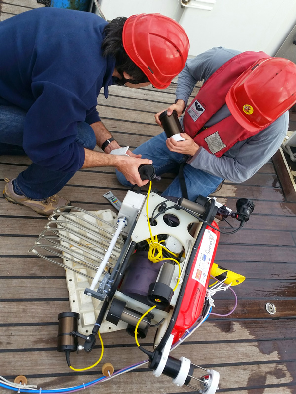 ROV-Murex-01
