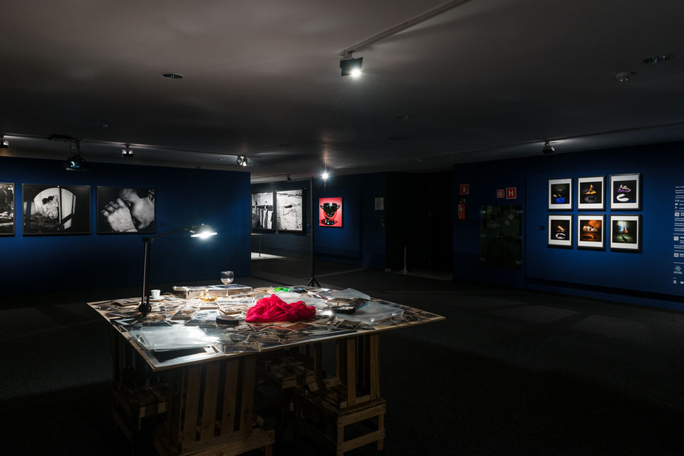 Foto_Marcello Kawase-0523.jpg