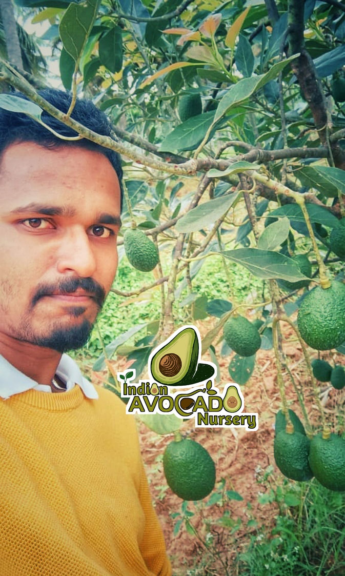 Harshith B S