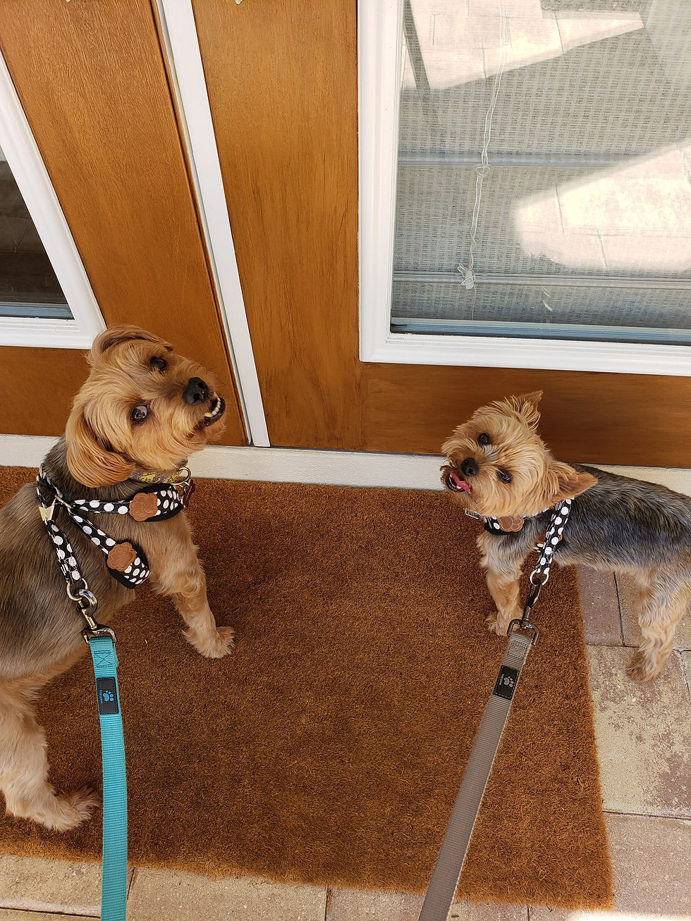 Jackson & Frankie