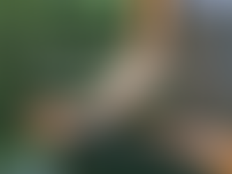 The Importance of Meditation