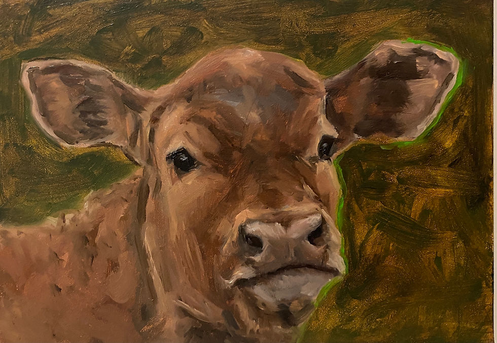 Thumbnail: Greencroft Cow