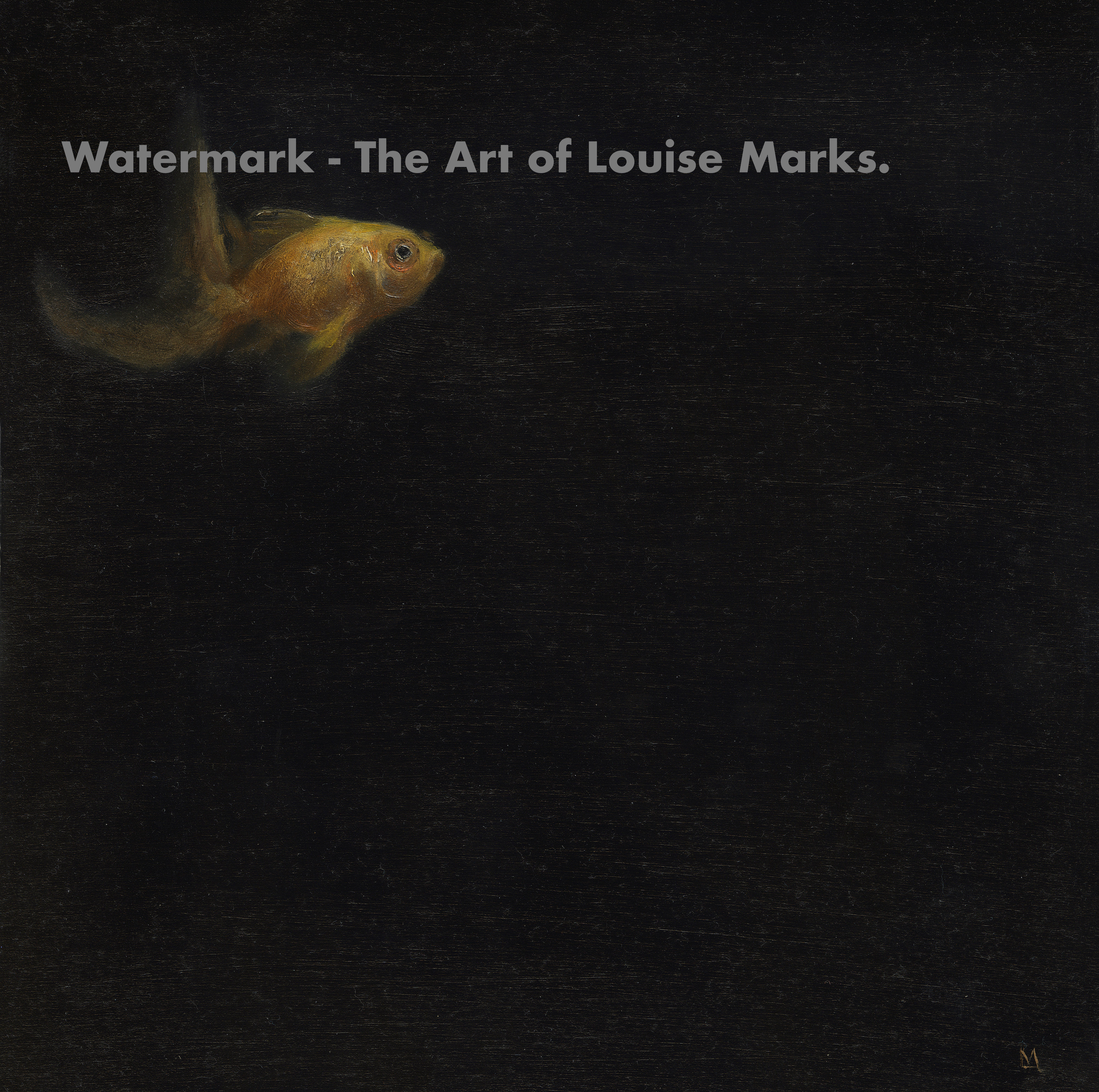 Limited Edition Prints